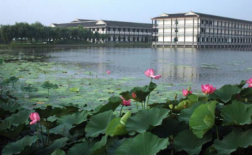 荊州洪湖藍田生態(tài)園拓展基地