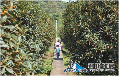 大冶鄂王城生態(tài)文化園拓展基地