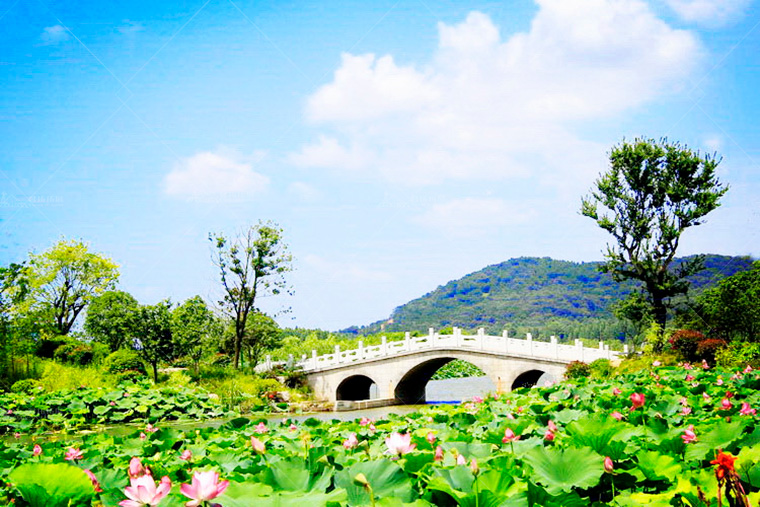 武漢蔡甸金龍水寨采摘旅游度假村